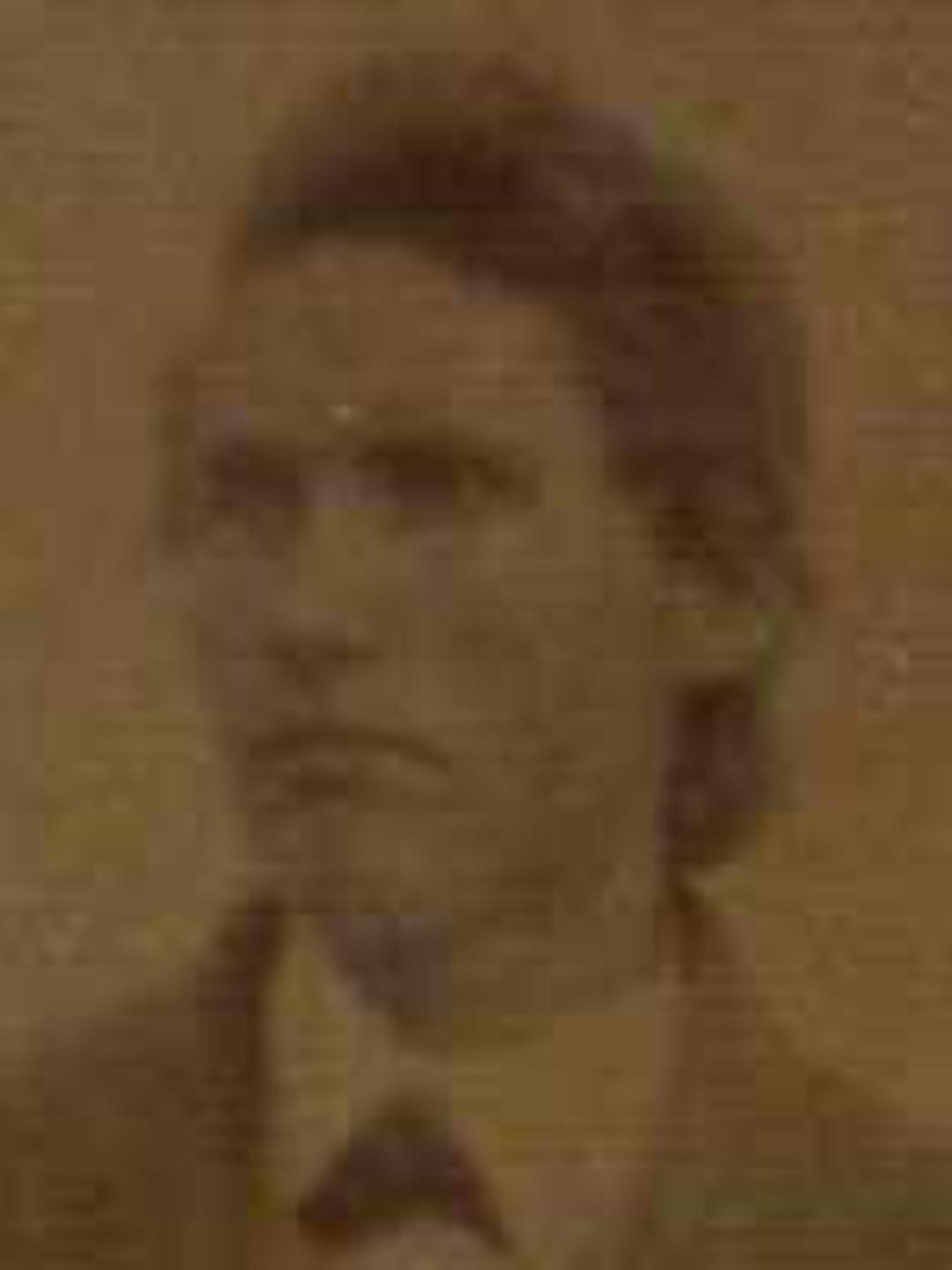 William Daniel Whitaker (1846 - 1876) Profile